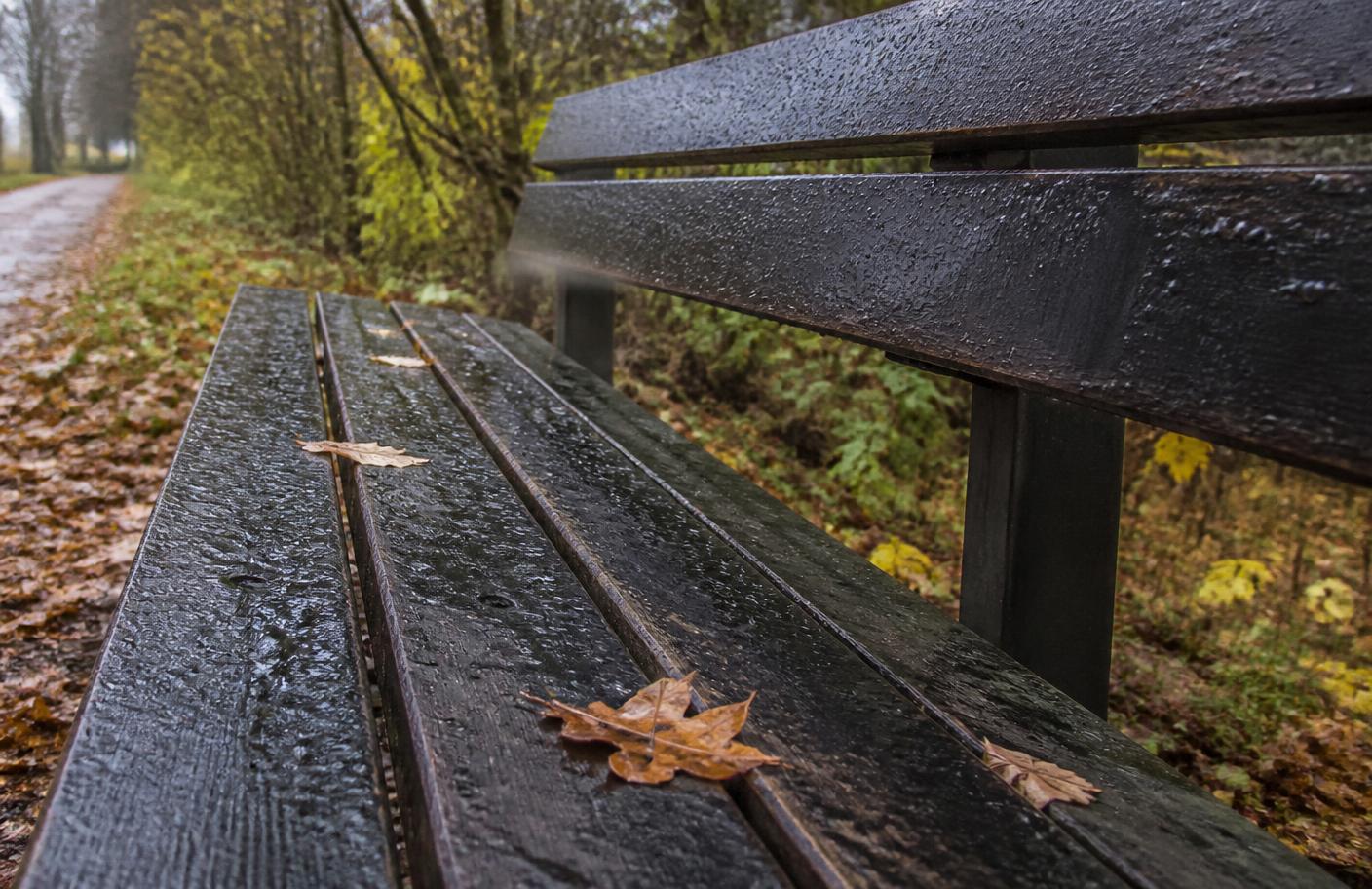 Kalte, regennasse Parkbank mit Herbstlaub